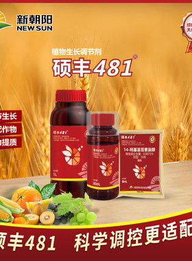 硕丰481保花保果增产抗逆解药害