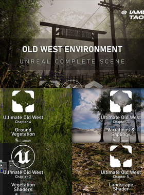 UE5西部自然环境植物树木场景制作全流程综合教程 中文字幕