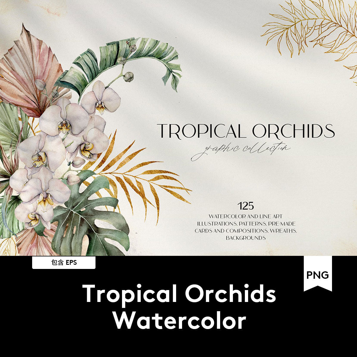 tropical orchids watercolor 热带兰花手绘水彩插画 g2020042301