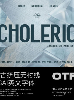 9款字重复古经典挤压杂志海报标题logo设计psai无衬线英文字体