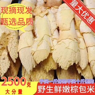 于都野生棕包赣南特产野生新鲜棕包米棕笋粽包花棕树尖棕包棕带壳