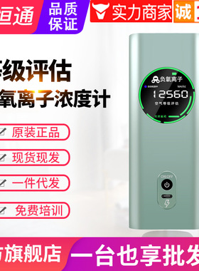 源恒通环境负氧离子浓度检测仪ELSEN-500空气质量等级评估监测仪