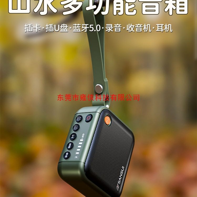 2025新款山水蓝牙音响小型便携户外跑步插卡u盘大音量收音机音箱