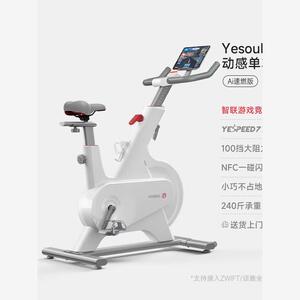 野小兽Yesoul动感单车磁