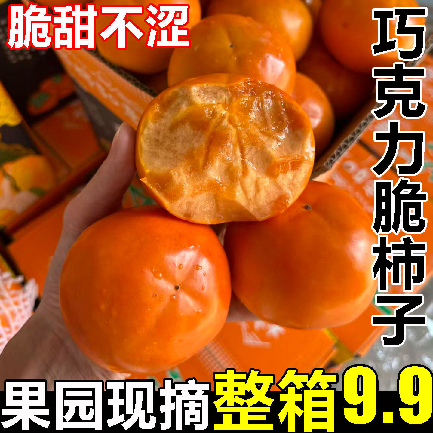 【巧克力脆柿】现摘现发不甜包赔