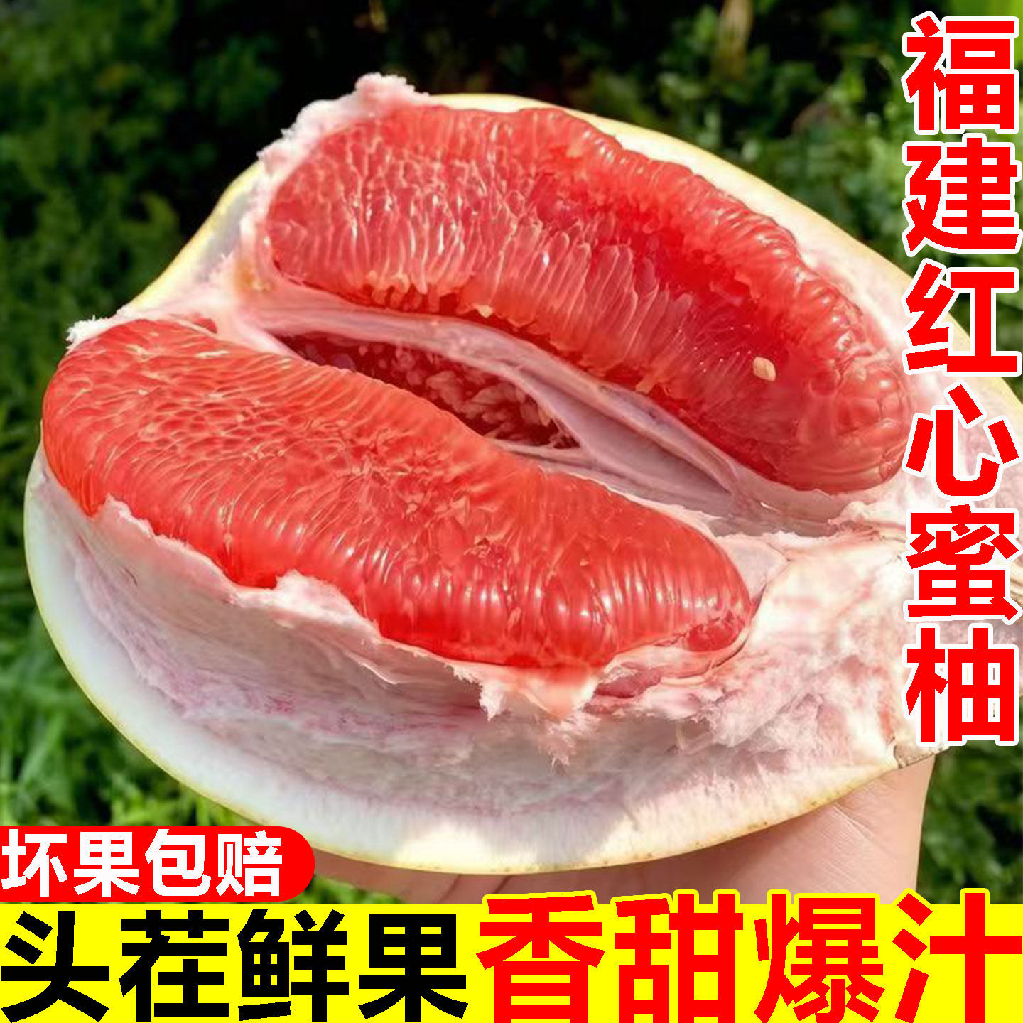 【福建红心柚】清甜爆汁