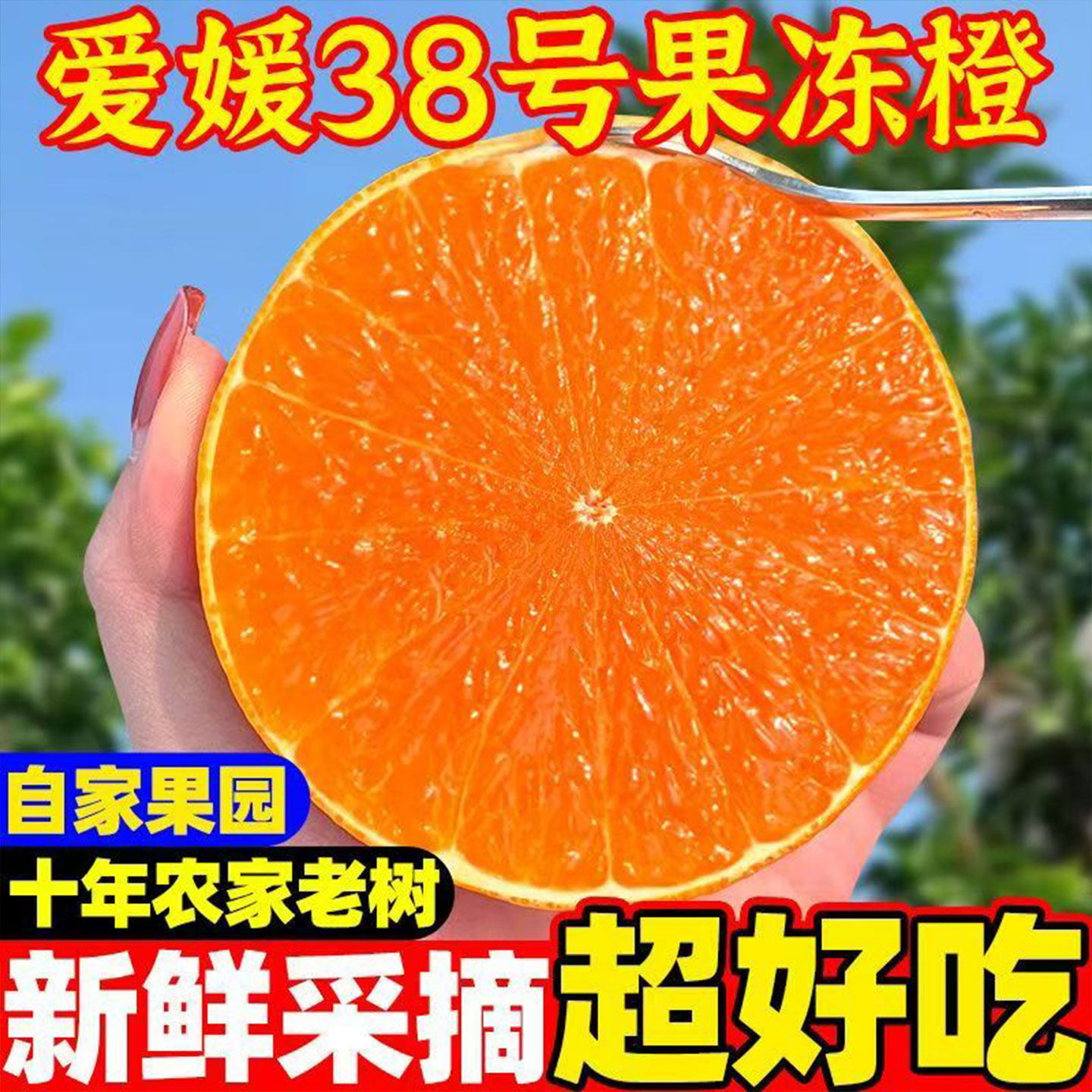 【顺丰包邮】正宗爱媛果冻橙
