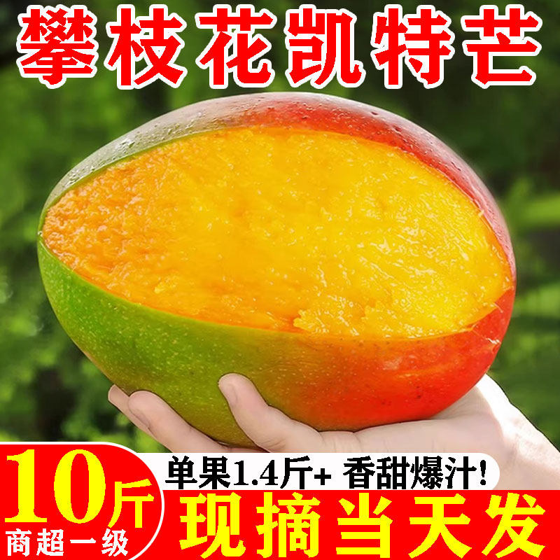 四川攀枝花凯特芒芒果新鲜特大果10斤青水果当季整箱树熟水金仙煌