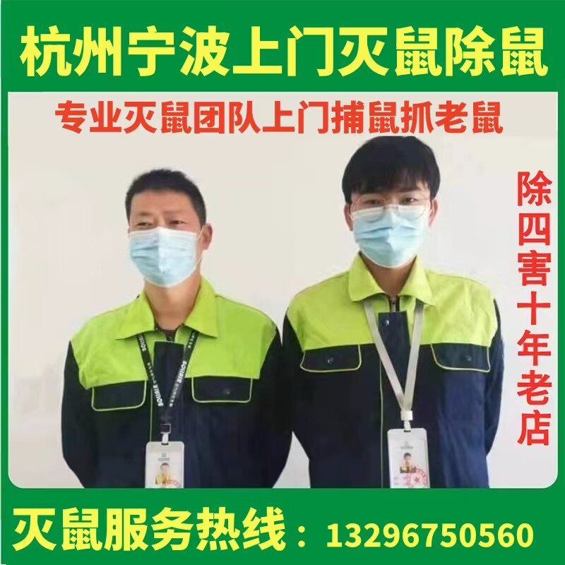 宁波上门灭鼠服务专业除鼠消杀除灭鼠笼/捕鼠器