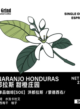 【LETSGRIND】洪都拉斯SOE甜橙庄园水洗卡杜艾浅烘浓缩咖啡豆227g