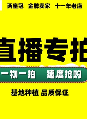 直播基地室内大型绿植盆栽百合竹大叶伞春羽小天使龙鳞鸭脚木朱蕉