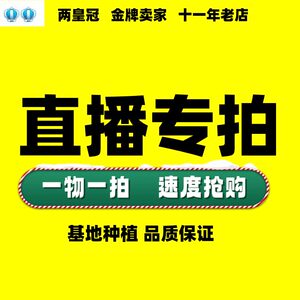 直播基地百合竹大叶伞春羽鸭脚木