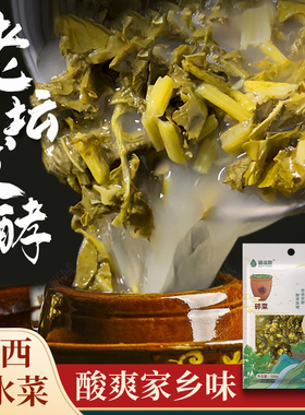 汉中浆水菜陕西特产脆嫩酸爽乳酸菌发酵老缸酸菜腌菜泡菜引子