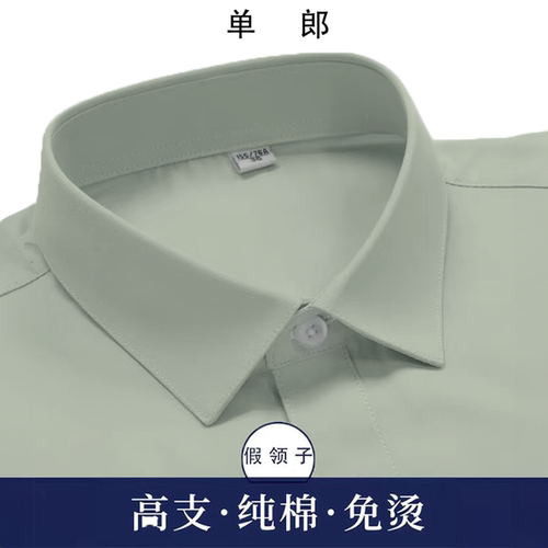 军绿色301总医院假领子男女通用