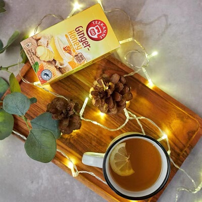 Teekanne恬康乐德国进口蜂蜜香橙味姜茶无咖啡因花草果袋泡茶包