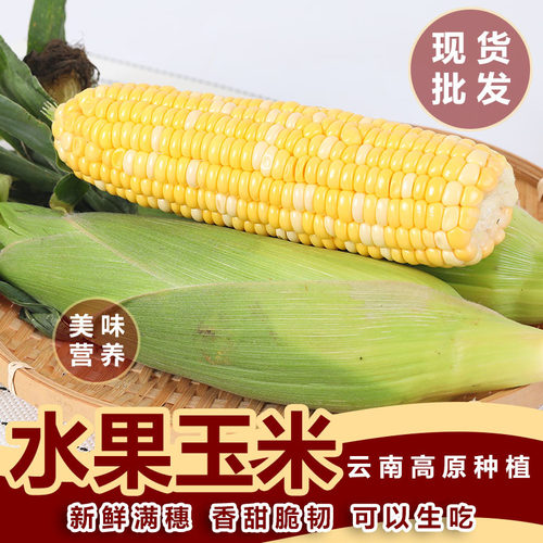 金银水果玉米云南双色