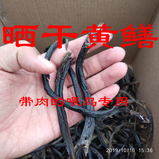 包邮干黄鳝带肉鳝鱼干长鱼干整条晒干活鳝鱼喂宠物喂鸟无盐