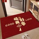 进门门口脚垫 入户门地垫高端防滑耐磨玄关垫地毯门外门垫2024新款