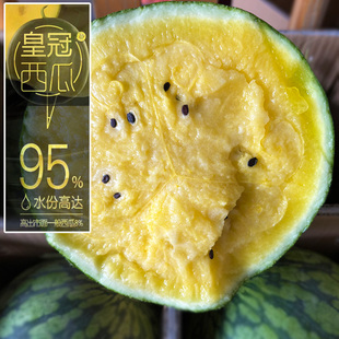 上海小皇冠黄心黄瓤西瓜新鲜水果当季现摘手剥香甜多汁非特小凤