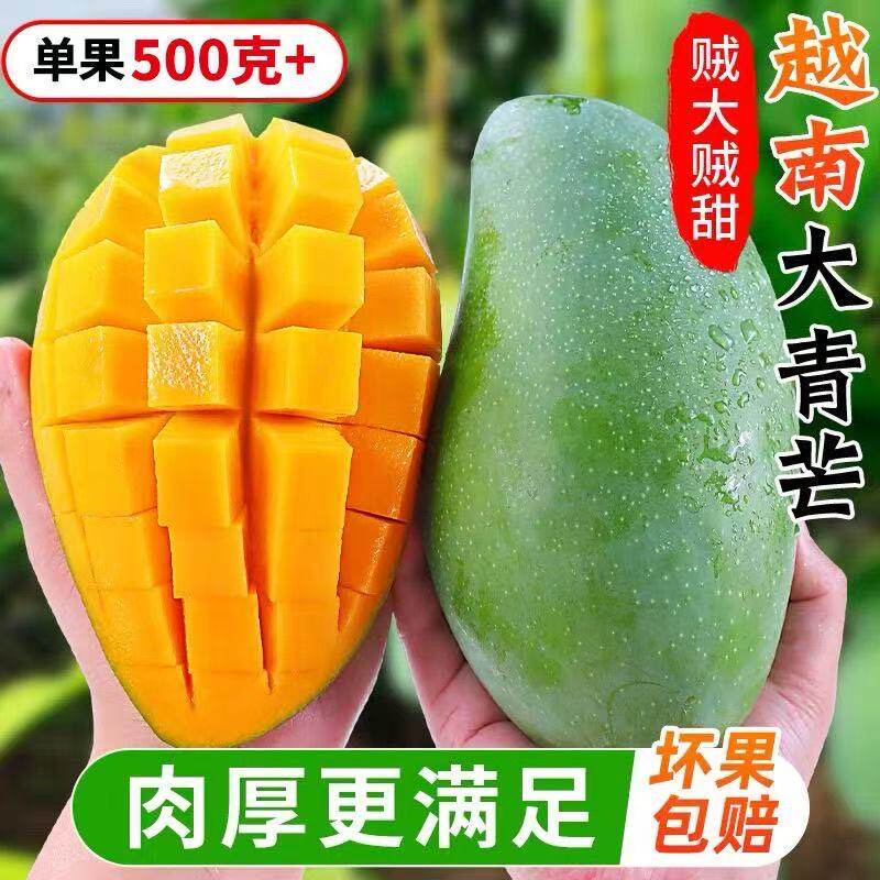 越南大青芒单果500克+超大果肉厚新鲜芒果超甜树上熟当季水果
