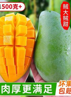 越南大青芒单果500克+超大果肉厚新鲜芒果超甜树上熟当季水果