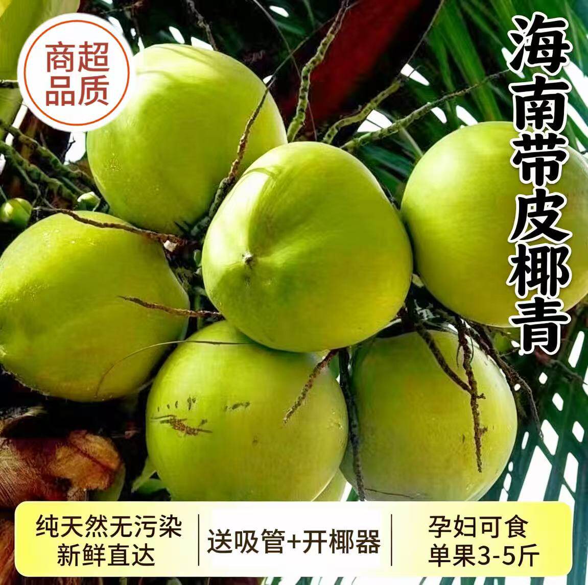 海南椰青纯天然带皮新鲜椰子现摘青皮椰子孕妇水果椰子水椰子肉