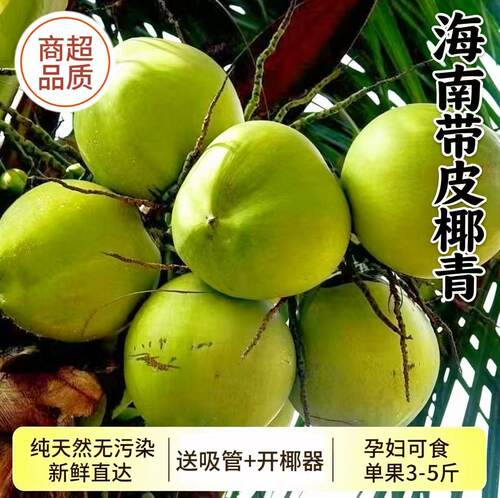 海南新鲜带皮椰子纯天然孕妇可食