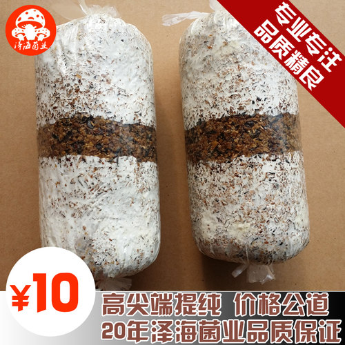原种二级灵芝黑木耳平菇
