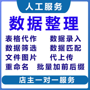 人工帮忙代整理数据重命名图片分类办公归类表格文件录入筛选文档