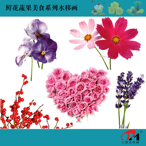 鲜花水移画橱柜瓷砖冰箱空调装饰