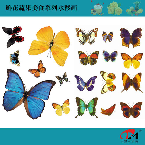 蝴蝶水移画家具橱柜瓷砖玻璃冰箱