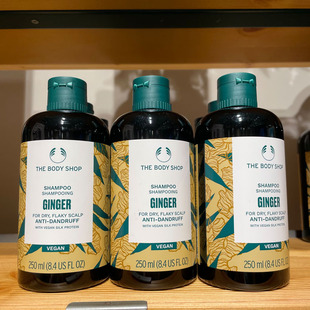新包装英国The body shop生姜洗发水/护发素防脱发去屑 止痒 控油