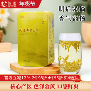 2025新茶上市溧阳黄金茶天目湖黄金芽白茶浓香型绿茶常州特产茶叶