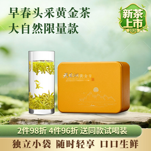 天目湖黄金茶新茶春茶