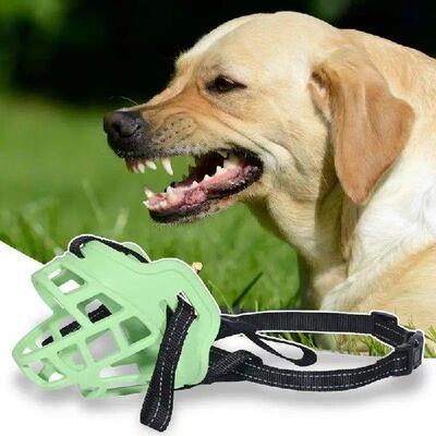 Fluorescent Dog Muzzle Pet Dog Adjustable Anti-Biting