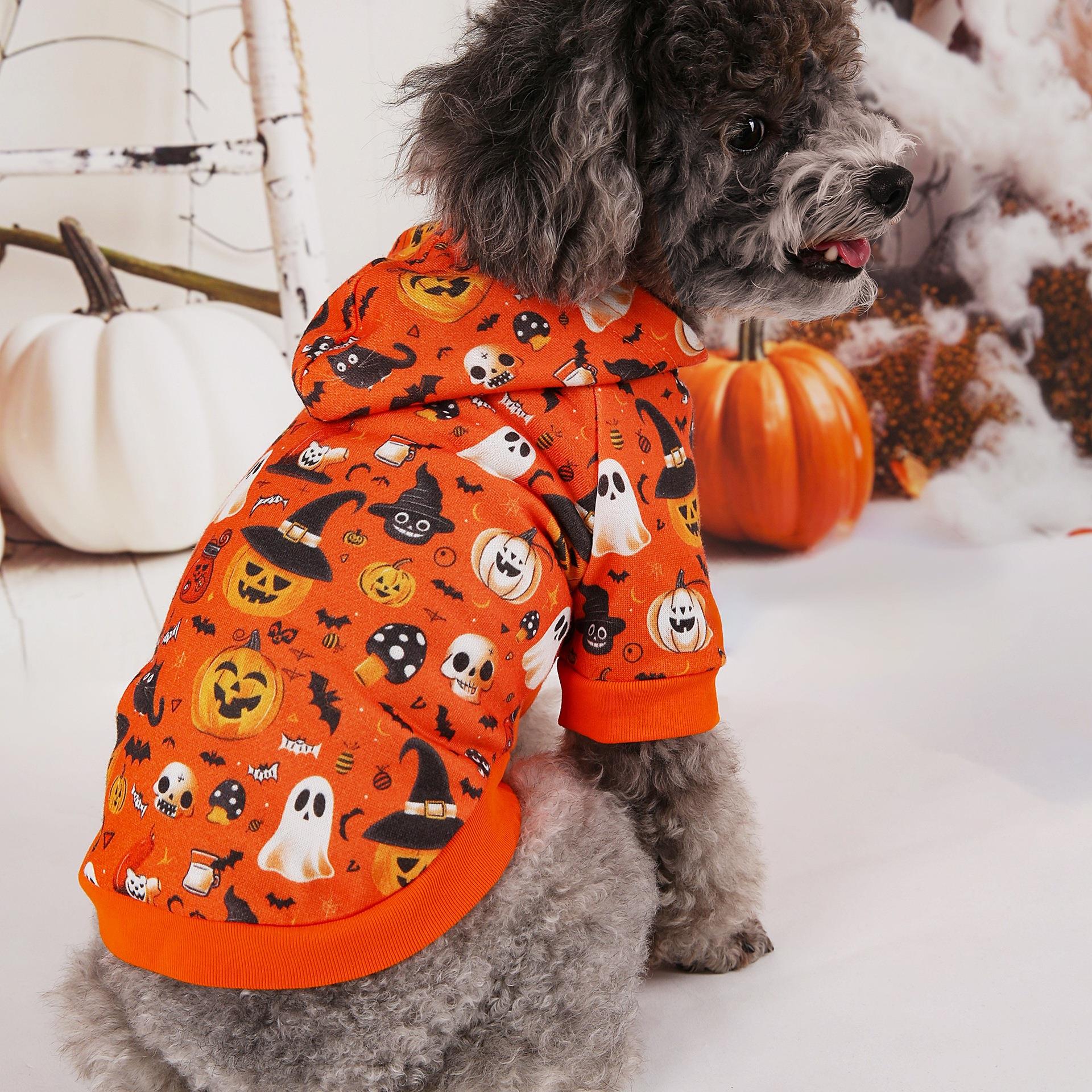 Dog Sweat Halloween Decoration Pumpkin Wizard Print Small Do