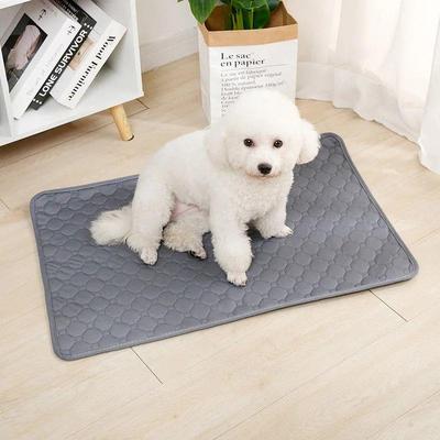 Reusable Dog Pee Pad Blanket Absorbent Diaper Washable Puppy
