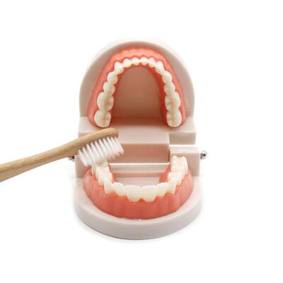 Montessori Educational Toys for Children Early Learning Kids