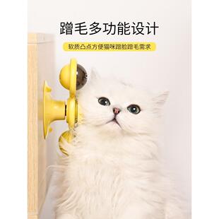 。toys to relieve boredom pet supplies suction cup turntab