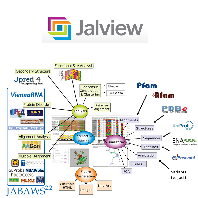 Jalview软件远程安装  多序列比对可视化编辑 支持win/mac/linux