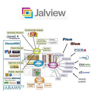 linux Jalview软件远程安装 多序列比对可视化编辑 支持win mac