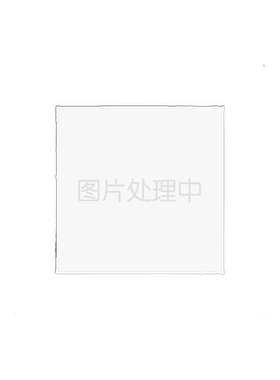 配长卫衣的打底短裤下衣失踪安全裤女防走光女可外穿跳舞裤子高腰