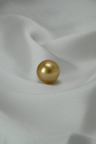 新货浓金南洋金珠15.1mm正圆浓茶金定制吊坠戒指项链天然海水珍珠