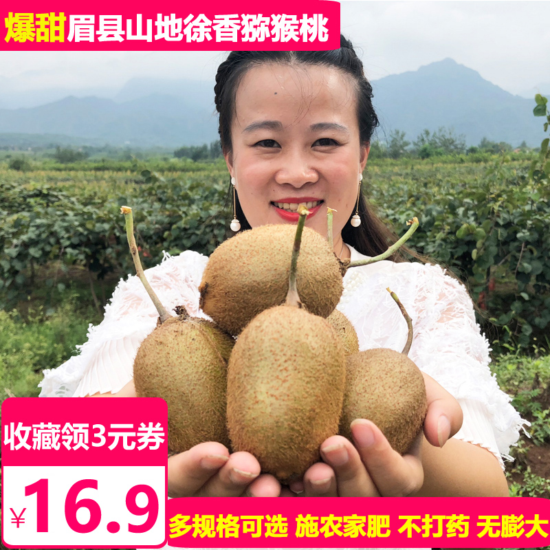 天使芳菲 陕西眉县徐香猕猴桃新鲜包邮绿心奇异果泥弥狝狔胡猴桃