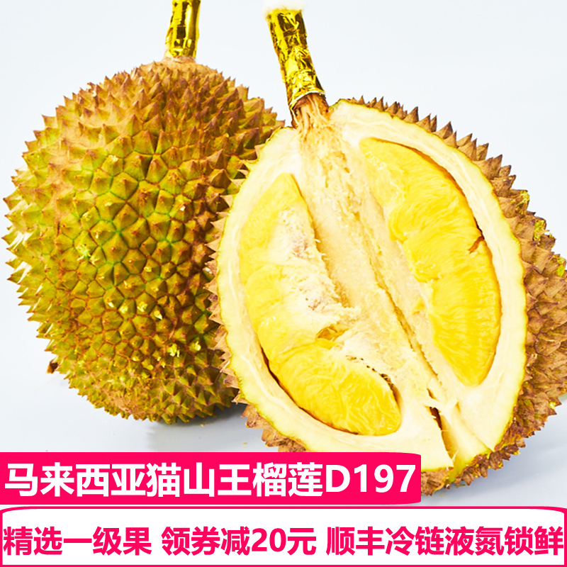 天使芳菲 马来西亚猫山王榴莲D197液氮冷冻整果带壳榴莲树上熟