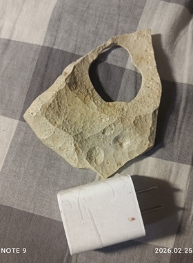 纯天然戈壁石风凌石沙漠漆彩石造型石奇石观赏石摆件太湖石泥石