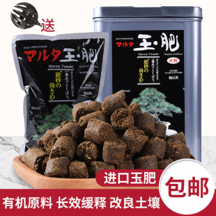 玉肥盆景专用肥料日本进口散装 颗粒有机缓释肥颗粒花肥赠送肥料盒