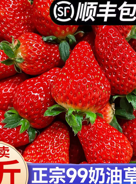 草莓新鲜水果礼盒5斤孕妇红颜奶油九九大99牛奶草莓整箱3顺丰包邮