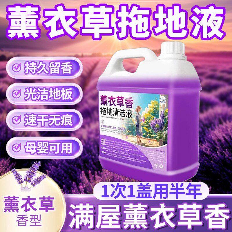 薰衣草香拖地专用清洁液地板清洁剂杀菌清香持久留香无水印大桶装,洗护清洁剂/卫生巾/纸/香薰,地面清洁剂,淘宝优惠券,粉丝福利购,淘宝优惠卷