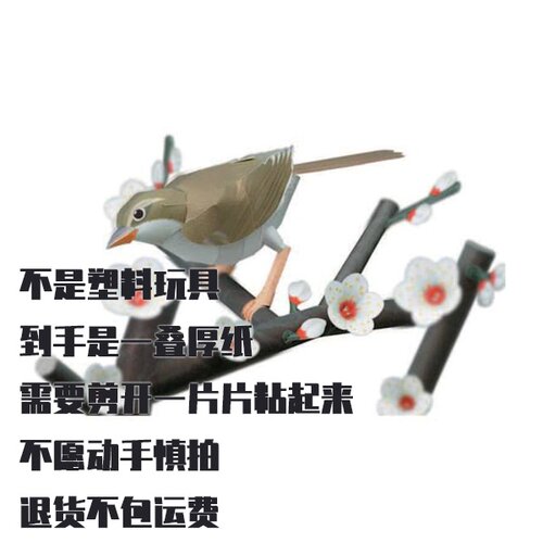 纸模型 DIY短翅苇莺手工拼装仿真鸟 立体拼图